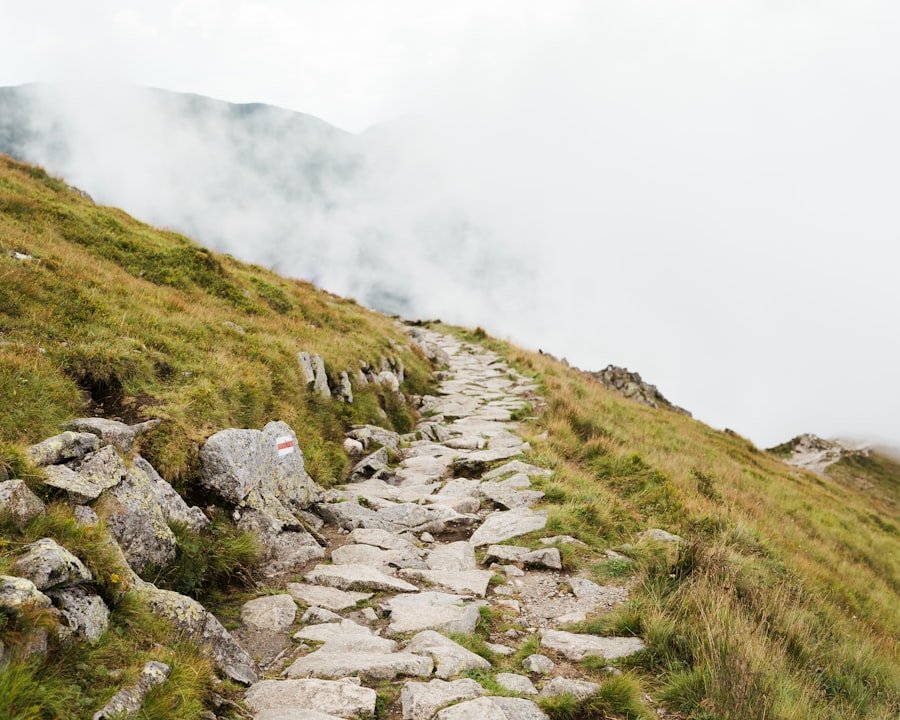 A quiet mountain path through the fog