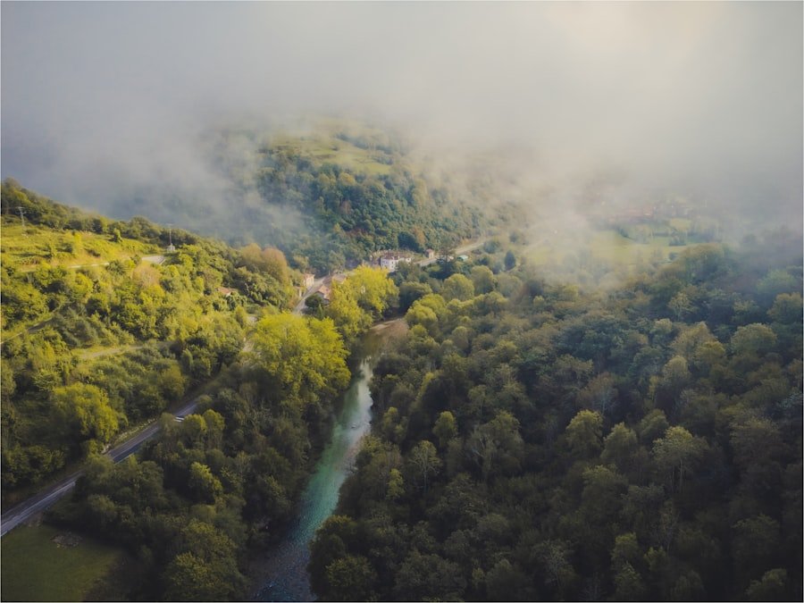A river running through a lush green forest